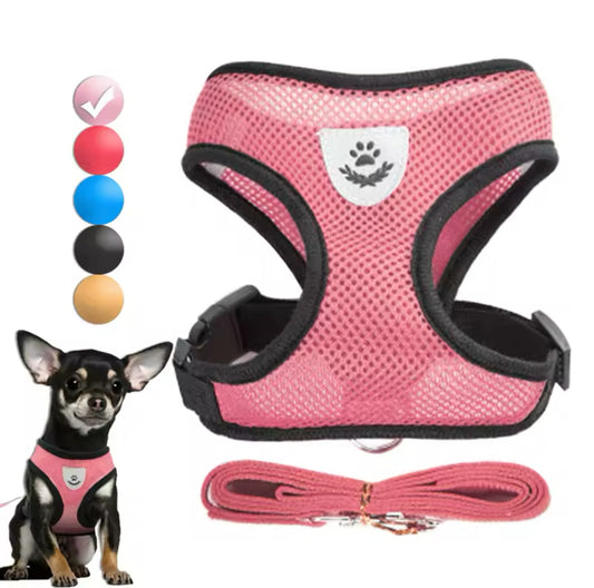 TracheaGuard® No-Pull Harness by MiniPaw® 🐾