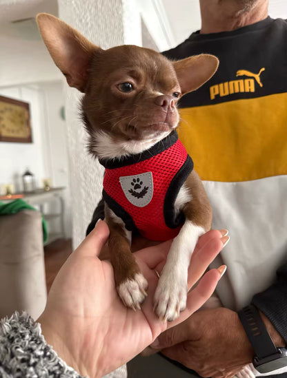 TracheaGuard® No-Pull Harness by MiniPaw® 🐾