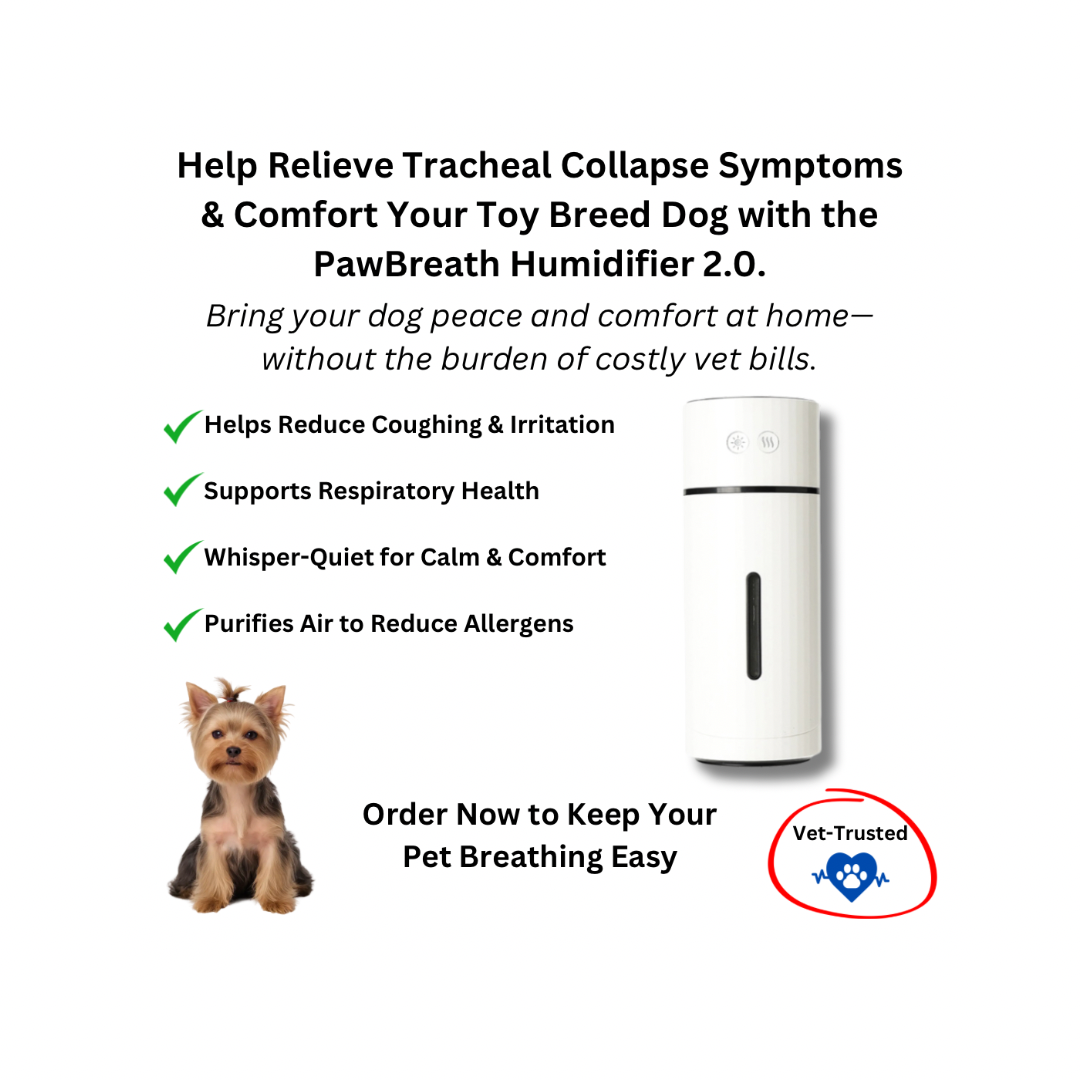 PawBreath Humidifier 2.0: The Perfect Home Tracheal Collapse Relief Treatment for Toy Breed Dogs