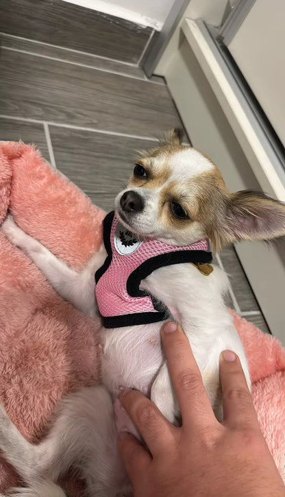 TracheaGuard® No-Pull Harness by MiniPaw® 🐾