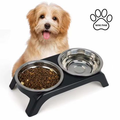 PawLift™ Elevated Bowls