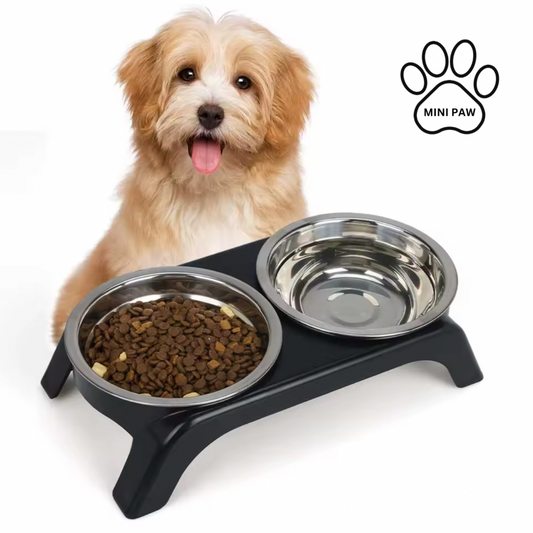 PawLift™ Elevated Bowls
